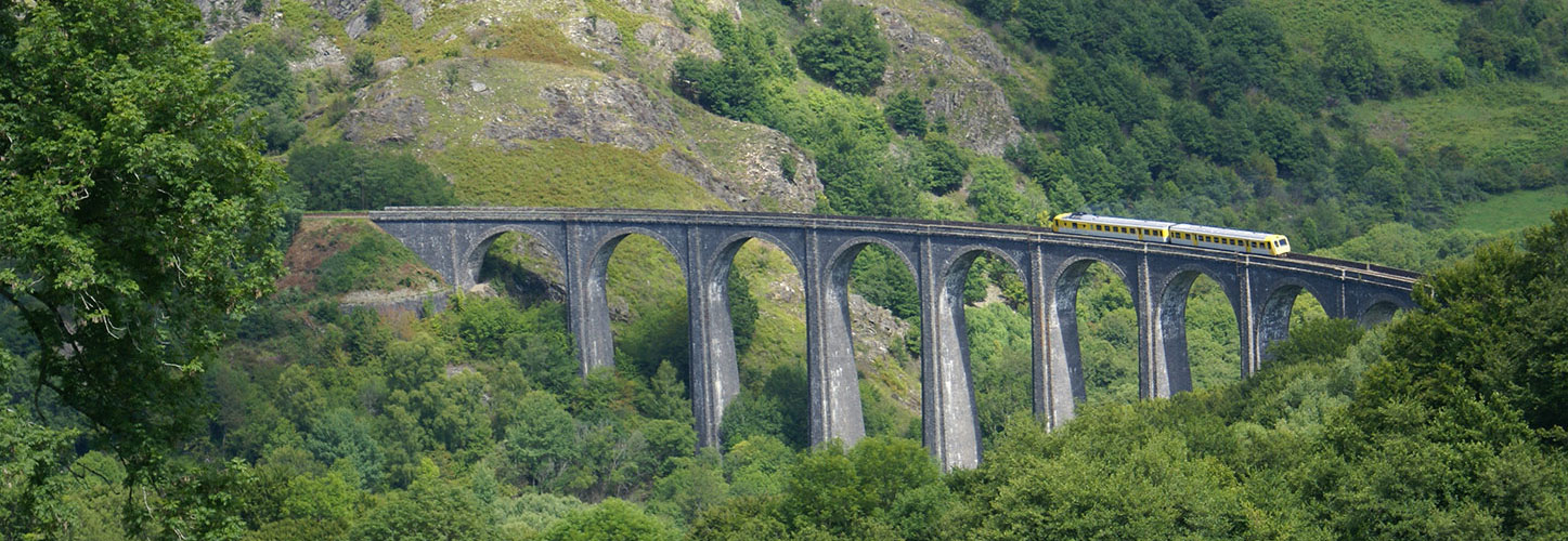 Autorail du Gentiane Express sur la ligne de montagne